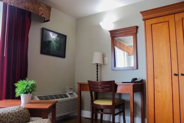 Executive Oda (Newly Remodeled, King)