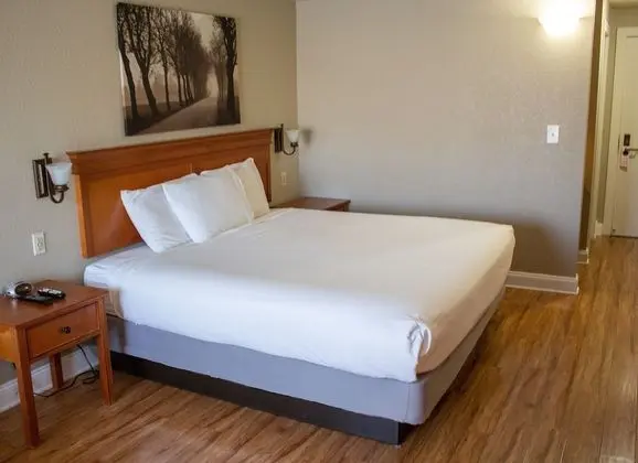 Executive Oda (Newly Remodeled, King)