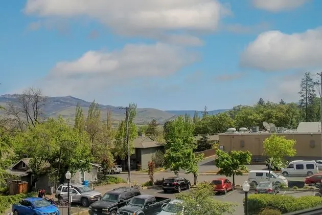 Executive Oda (Newly Remodeled, King)