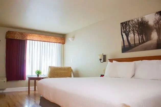 Oda (One King with Shower)