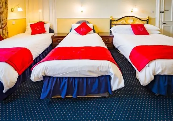 Superior Tek Büyük Yataklı Oda (Room 3)