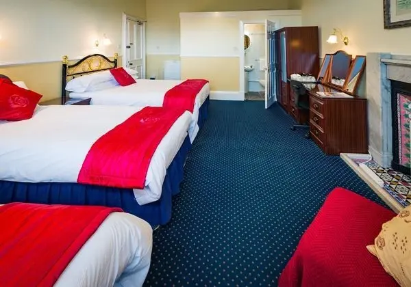 Superior Tek Büyük Yataklı Oda (Room 3)