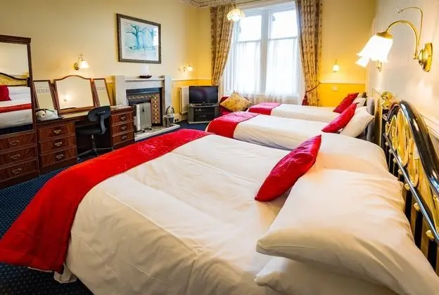 Superior Tek Büyük Yataklı Oda (Room 3)