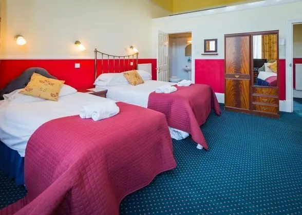 Superior Tek Büyük Yataklı Oda (Room 5)