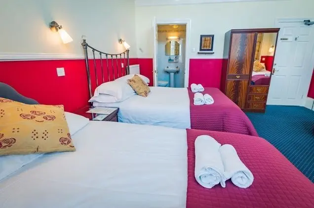 Superior Tek Büyük Yataklı Oda (Room 5)
