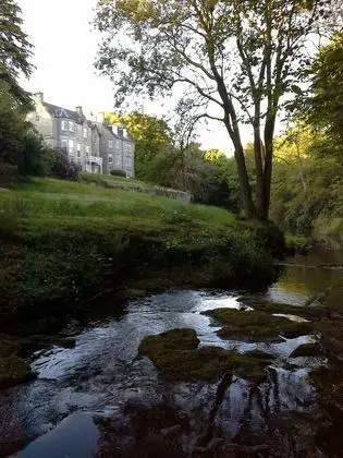 Tek Büyük Yataklı Oda, Park Manzaralı
