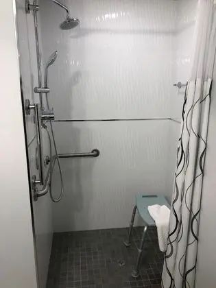 Standard Oda, 1 Büyük (Queen) Boy Yatak (ADA One Queen Bed with Roll-in Shower)