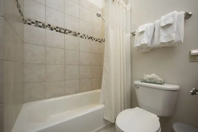 Comfort Daire, 1 Büyük (Queen) Boy Yatak ve Çekyat