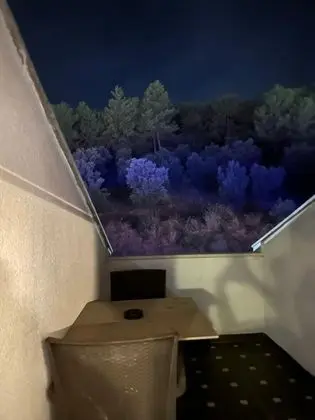 Teraslı Standart Oda, Dağ Manzaralı, Balkonlu