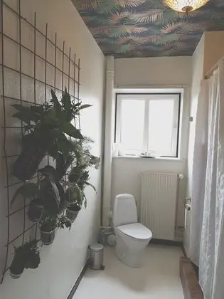 Süit, 1 Yatak Odası, Ortak Banyo