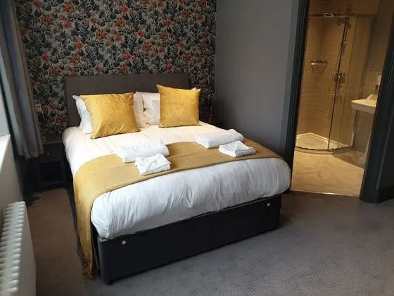 Superior Tek Büyük Yataklı Oda, 1 En Büyük (King) Boy Yatak