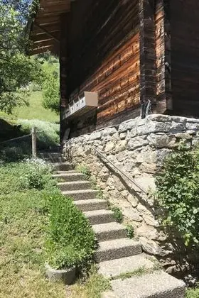 Ev