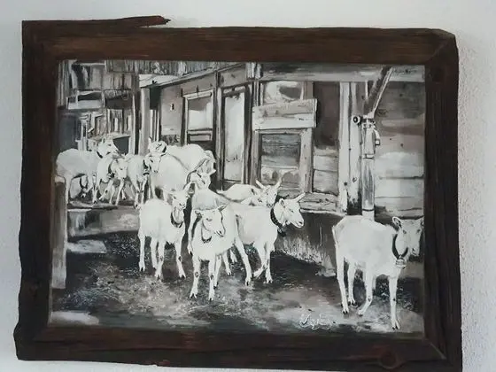 Stüdyo, 1 Yatak Odası, Balkon