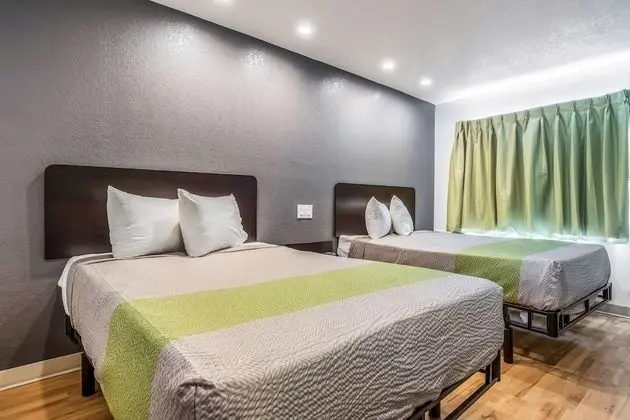 Deluxe Oda, 2 Çift Kişilik Yatak, Engellilere Uygun, Sigara İçilmez