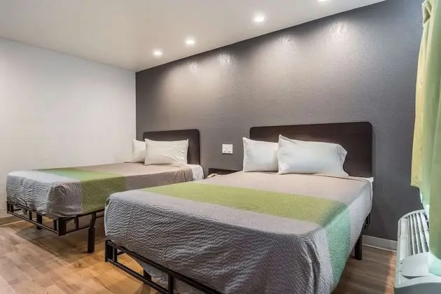 Deluxe Oda, 2 Çift Kişilik Yatak, Sigara İçilmez, Küçük Mutfak
