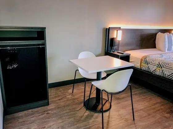 Standard Oda, 1 En Büyük (King) Boy Yatak, Engellilere Uygun, Sigara İçilmez