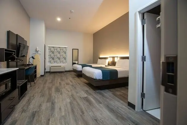 Deluxe Oda, 2 Çift Kişilik Yatak, Engellilere Uygun, Sigara İçilmez