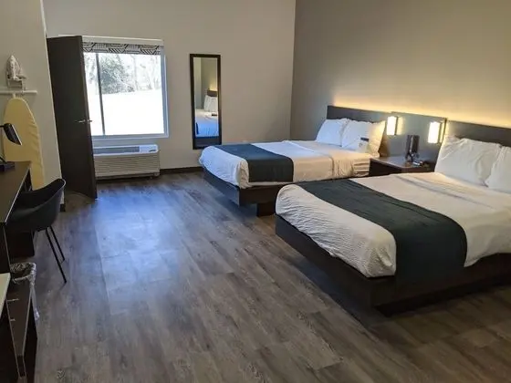 Deluxe Oda, 2 Çift Kişilik Yatak, Engellilere Uygun, Sigara İçilmez