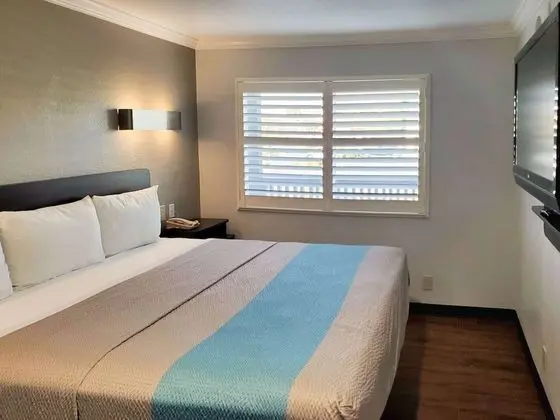 Standard Süit, 1 En Büyük (King) Boy Yatak, Engellilere Uygun, Sigara İçilmez