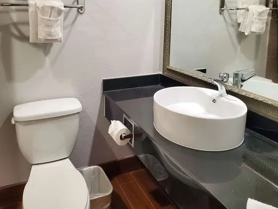 Standard Süit, 1 En Büyük (King) Boy Yatak, Engellilere Uygun, Sigara İçilmez