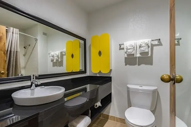 Deluxe Oda, 2 Çift Kişilik Yatak, Sigara İçilmez, Küçük Mutfak
