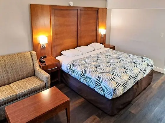 Deluxe Oda, 1 En Büyük (King) Boy Yatak, Sigara İçilmez, Buzdolabı ve Mikrodalga
