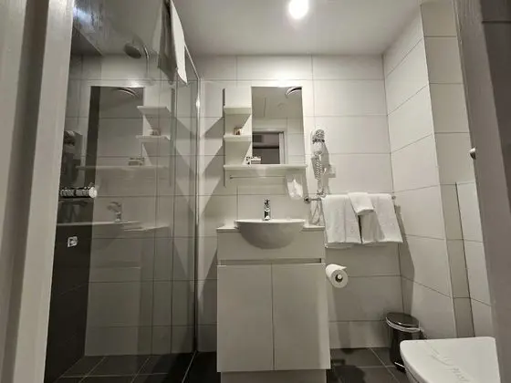 Deluxe Tek Kişilik Oda, 1 Tek Kişilik Yatak, Sigara İçilmez, Küçük Mutfak