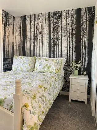 Stüdyo, Banyolu/Duşlu