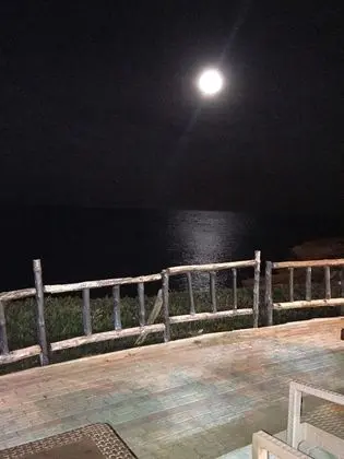 Apart Daire, 1 Yatak Odası, Balkon