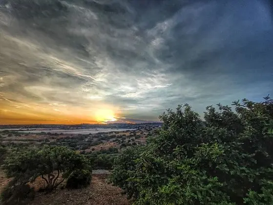 Apart Daire, 1 Yatak Odası, Veranda