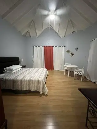 Panoramic Stüdyo Süit, 1 En Büyük (King) Boy Yatak, Sigara İçilmez