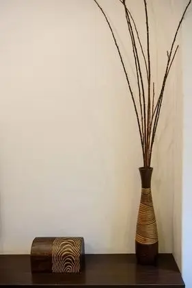 Ev