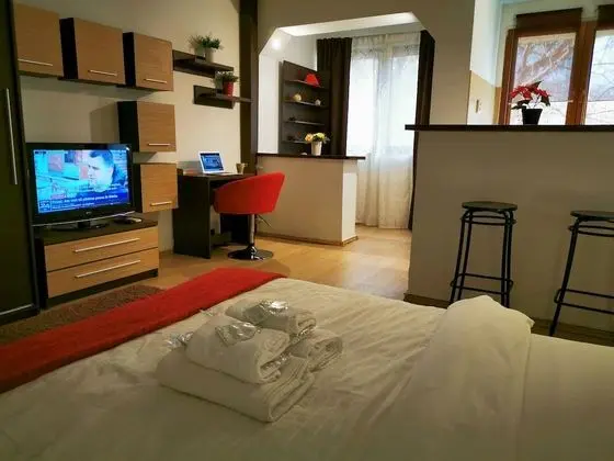Comfort Stüdyo, 1 Büyük (Queen) Boy Yatak, Şehir Manzaralı