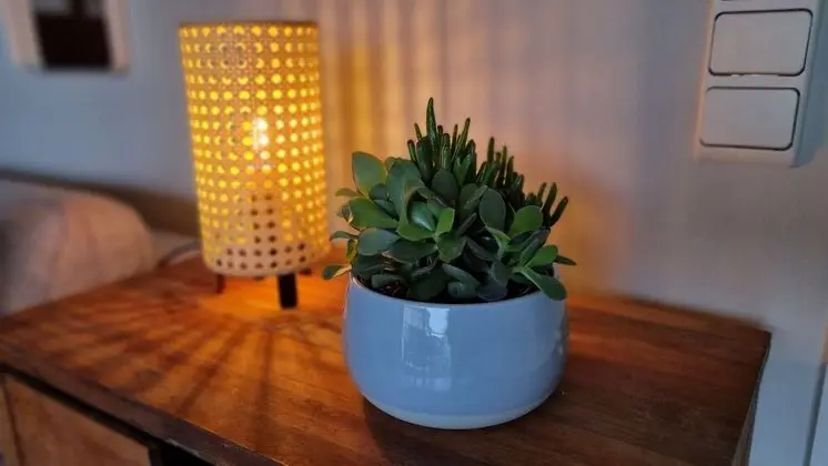 Apart Daire, Birden Çok Yatak