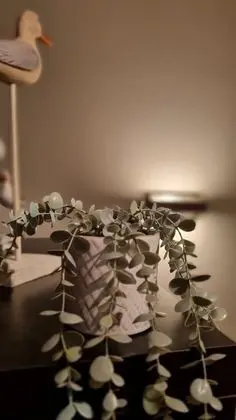 Apart Daire, Birden Çok Yatak