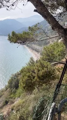 Apart Daire, 1 Büyük (Queen) Boy Yatak