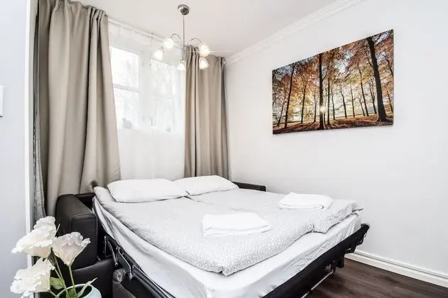 Comfort Stüdyo (174768)