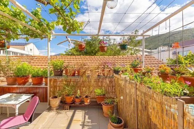 Stüdyo Süit, Teras (0 Bedroom)