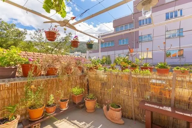 Stüdyo Süit, Teras (0 Bedroom)