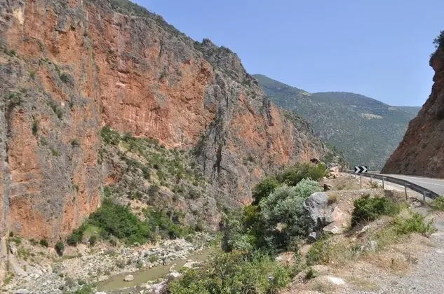 Apart Daire, 1 Yatak Odası, Mikrodalga
