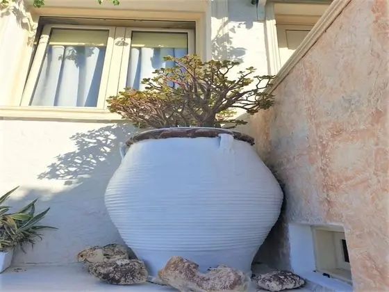 Oda, 1 Yatak Odası, Veranda