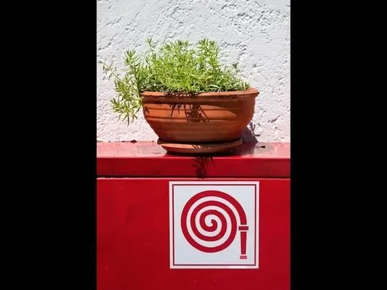 Stüdyo, 1 Yatak Odası, Balkon