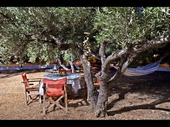 Stüdyo, 1 Yatak Odası, Balkon