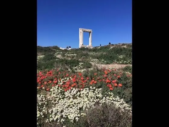 Stüdyo, 1 Yatak Odası, Balkon