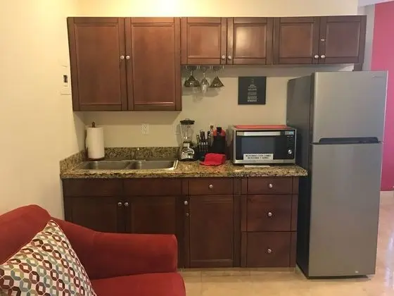 Premium Stüdyo Süit, 1 Büyük (Queen) Boy Yatak ve Çekyat