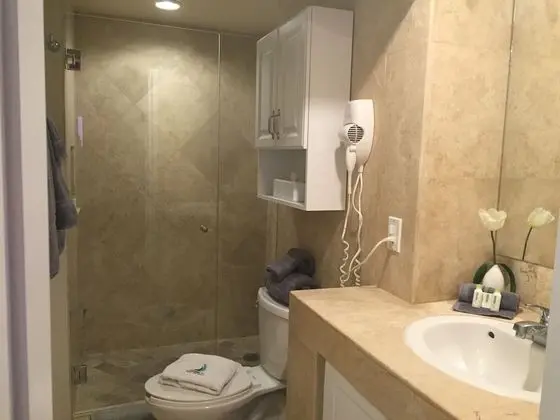 Premium Stüdyo Süit, 1 Büyük (Queen) Boy Yatak ve Çekyat