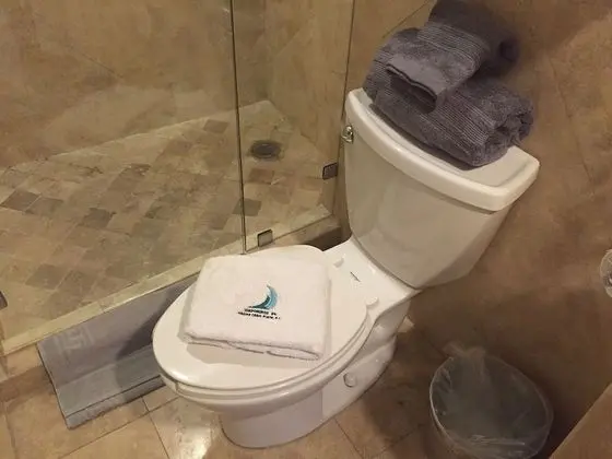Premium Stüdyo Süit, 1 Büyük (Queen) Boy Yatak ve Çekyat
