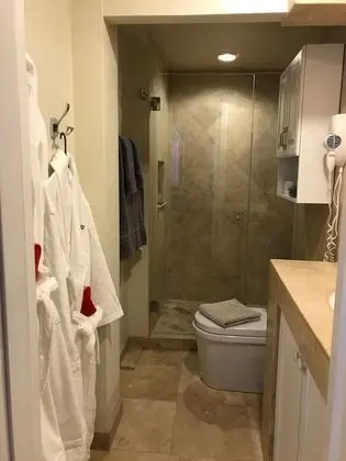 Premium Stüdyo Süit, 1 Büyük (Queen) Boy Yatak ve Çekyat