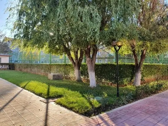 Stüdyo, 1 Yatak Odası