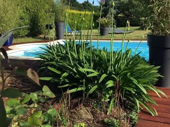 Stüdyo, Havuz Manzaralı